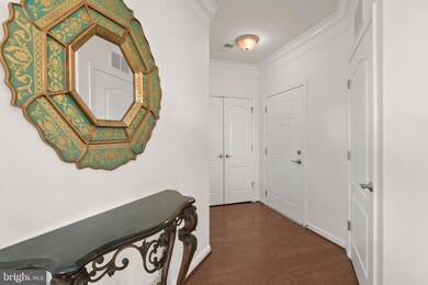 601 Quicksilver Ct unit 303, Reisterstown, MD 21136 - photo 5