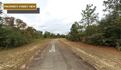 0 Devonshire Dr unit 25756000, Chipley, FL 32428 - photo 3