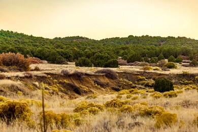 arroyo colorado imn heaven ranch