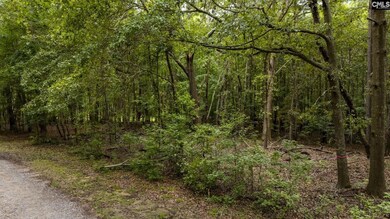 227 Will Dent Rd, Lexington, SC 29072 - photo 6