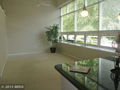Silverton Condominiums, Silver Spring, MD 20910 - photo 7
