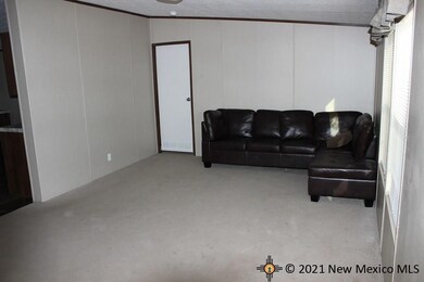 920 Butternut St, Carlsbad, NM 88220 - photo 4