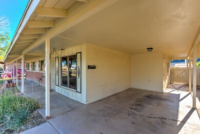 307 N Cholla-4