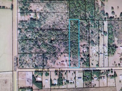 000 Morey Hill Rd, Baconton, GA 31716 - photo 2