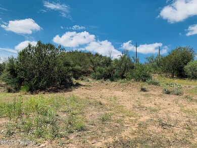 image7 (1)