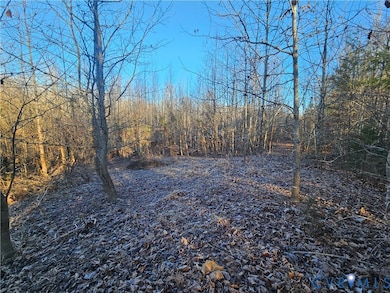 0 Warbonnet Trail unit 2532180, Mineral, VA 23117 - photo 5