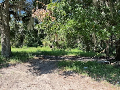 104 W Michael Gladden Blvd, Apopka, FL 32703 - photo 3