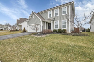 2-web-or-mls-5D9A2599