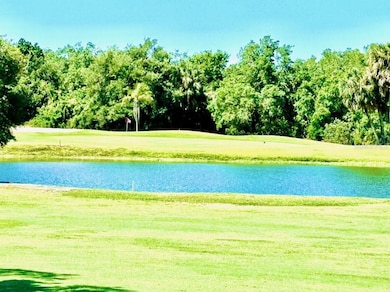 1041 Capri Isles Blvd unit 219, Venice, FL 34292 - photo 3