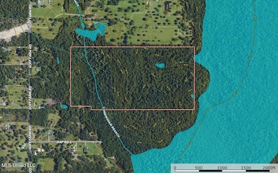 Screenshot 2025-02-17 110836