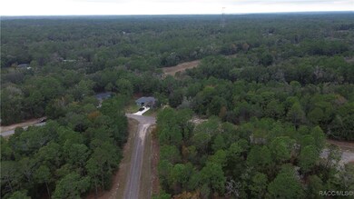 9700 N Langdon Rd, Citrus Springs, FL 34434 - photo 6