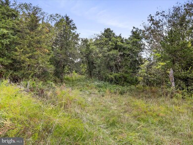 0 Andrews Rd unit VAWR2012444, Strasburg, VA 22657 - photo 4