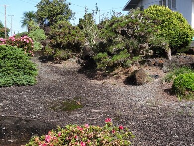 93 Akea St, Hilo, HI 96720 - photo 5