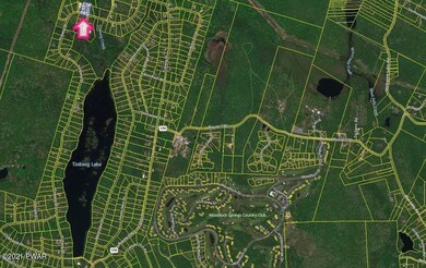 Lot 768 Tink Wig Dr, Lackawaxen Township, PA 18428 - photo 5