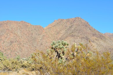 11900 S Alan Rd, Yucca, AZ 86438 - photo 5