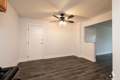 1003 Argyle St unit 5A, Bensenville, IL 60106 - photo 6