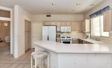 21008 N Verde Ridge Dr-large-012-27-Kitc