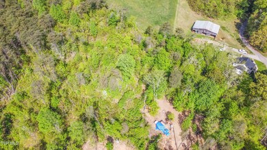 Tbd Dunville Gap Rd, Rutledge, TN 37861 - photo 5