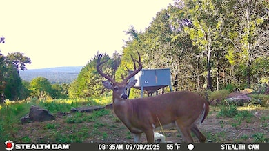 SW 1070 Ave, Higgins, OK 74531 - photo 2