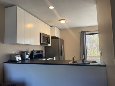 50 Indian Leap St unit A, Indian Orchard, MA 01151 - photo 5