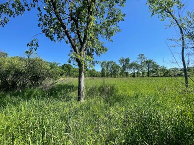 9890 Springport Rd, Parma, MI 49269 - photo 6