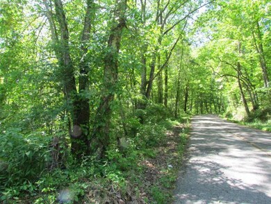 Sequatchie Mtn Road