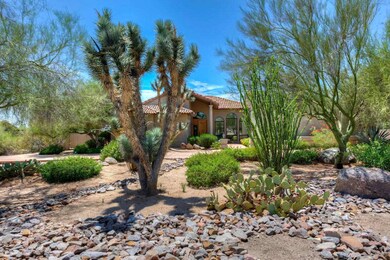 001_Beautiful Desert Landscaping