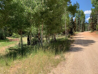 865 W Bear Track, Duck Creek Village, UT 84762 - photo 4