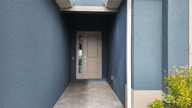 3332 Night Star Terrace, Parrish, FL 34219 - photo 3