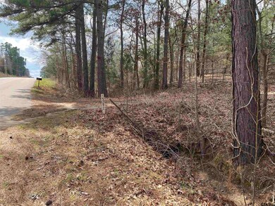 15292 Big Oak Bay Rd, Tyler, TX 75707 - photo 2