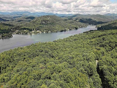 0 Rainwater Trail unit LOTS 6 & 7 10457238, Tiger, GA 30576 - photo 4