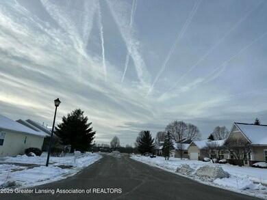 233 Barrington Cir unit 75, Lansing, MI 48917 - photo 6
