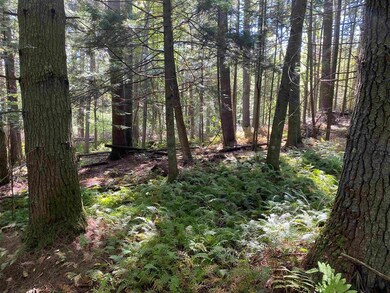 0 Mt Eustis unit 4883807, Littleton, NH 03561 - photo 5