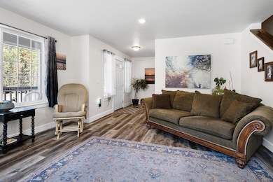 5 - 9-web-or-mls-DSC_9987