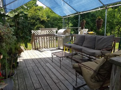 Back Deck