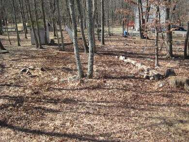 64 Cramer Rd, Pine Ridge, PA 18324 - photo 3