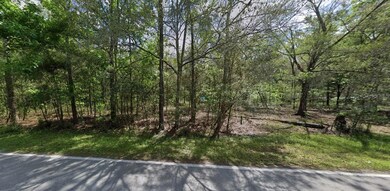 8061 Quail Hollow Blvd, Wesley Chapel, FL 33544 - photo 2