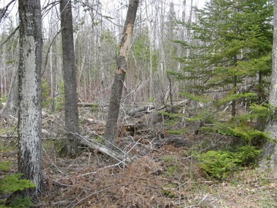 Sunday Lakefront 051