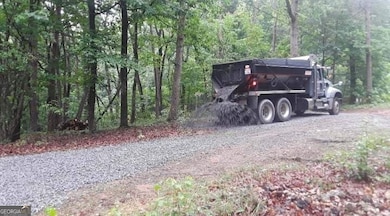 0 Pink Mountain Blvd unit 10649650, Cleveland, GA 30528 - photo 7