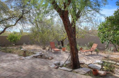 Backyard2