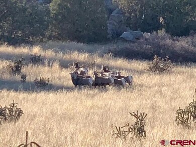 000 County Road 40 2 unit Poitry Canyon Ranch, Branson, CO 81027 - photo 2