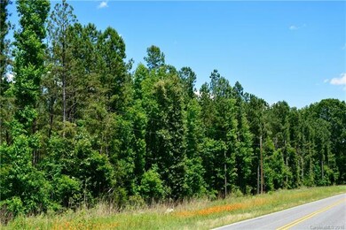 004 Vesuvius Furnace Rd unit 4, Ironton Township, NC 28080 - photo 2
