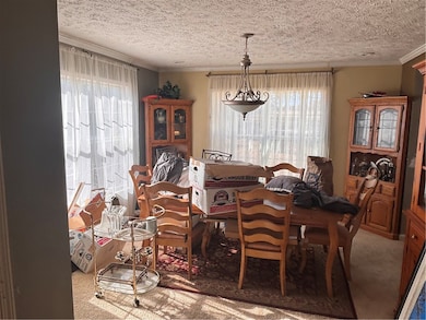 579 Daventon Rd, Honea Path, SC 29654 - photo 5