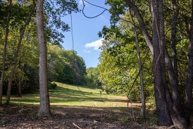 Additional open field on the back of the property