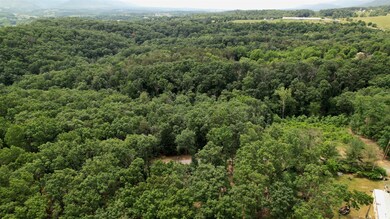 Lot 40 Off N View Dr, Stanley, VA 22851 - photo 6