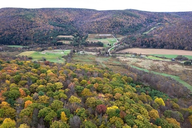 1810 Route 249, Middlebury Center, PA 16935 - photo 5