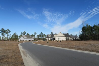 1419 Cross Water Cir, Leland, NC 28451 - photo 6