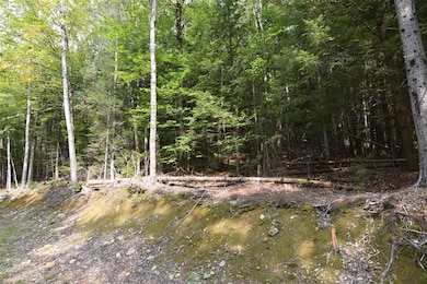 49 & 50 Treeline Rd, Thornton, NH 03285 - photo 4