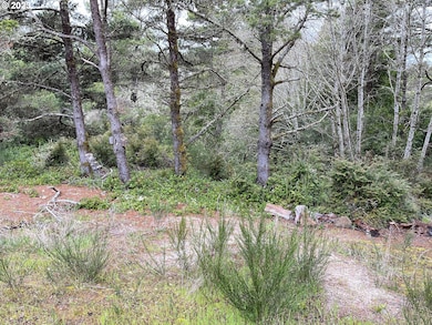 649 Ibolt Ct, Florence, OR 97439 - photo 6