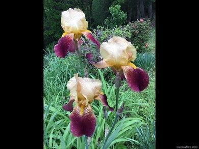 62 Wynne Dr, Asheville, NC 28806 - photo 6